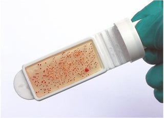 VIALES DE CRECIMIENTO MICROBIOLOGICO PARA PRUEBAS DE BACTERIAS, MOHOS Y LEVADURAS, DIP-SLIDES No. DSP-GP. CAJA DE 10 PRUEBAS.